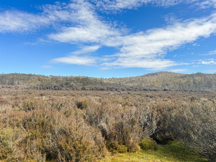 Click to view all images 331L Arthurs Lake Road Arthurs Lake TAS 7030 - Image 2