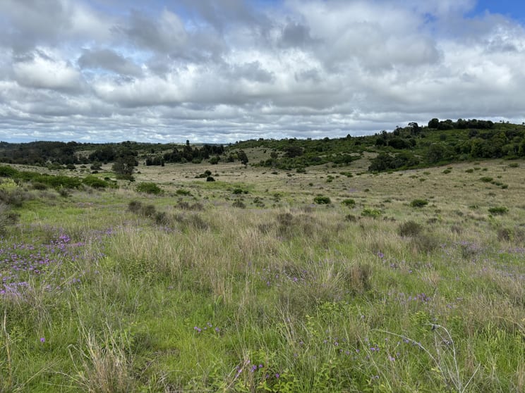 Click to view all images Lot 198 Pechey Maclagan Road Groomsville QLD 4352 - Image 3