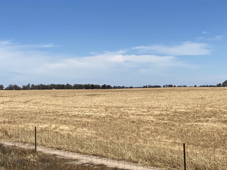 Click to view all images Banyena VIC 3388 - Image 3