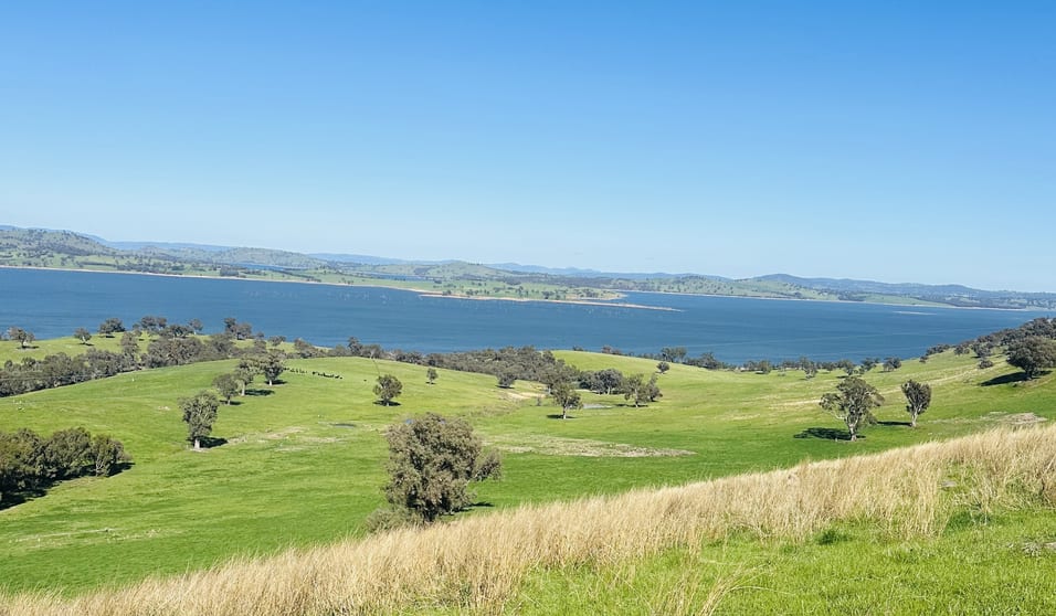 Click to view all images . Hore Road Bowna NSW 2644 - Image 2