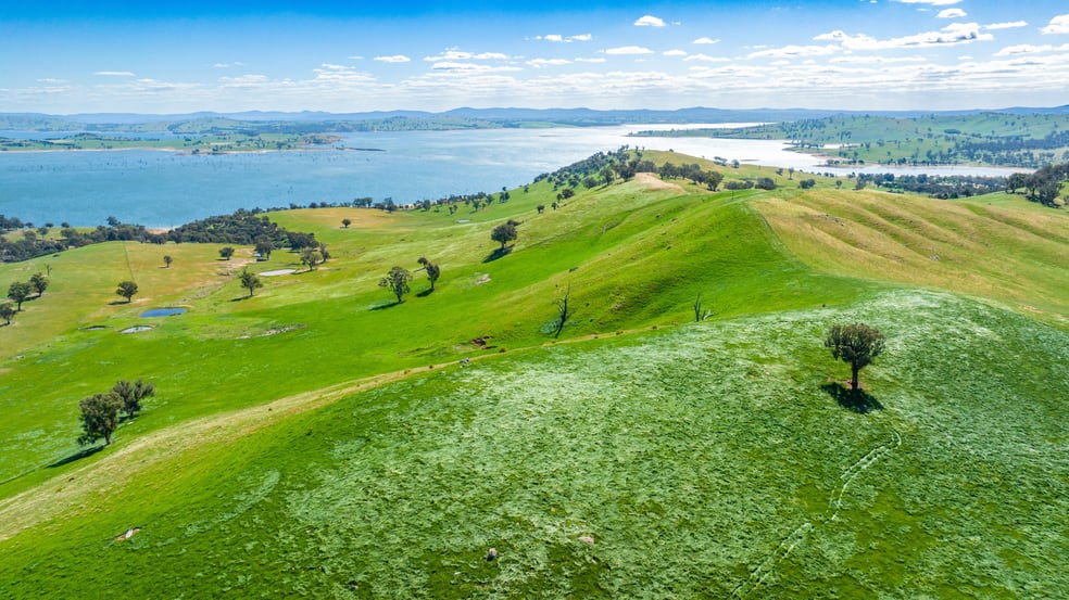 Click to view all images . Hore Road Bowna NSW 2644 - Image 3