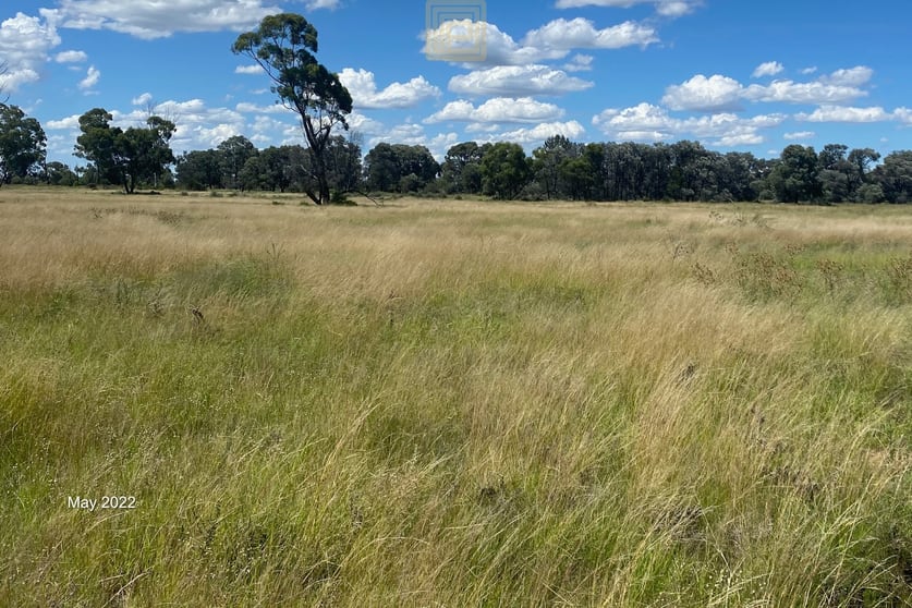 Click to view all images 1688 Forest Way Wee Waa NSW 2388 - Image 3