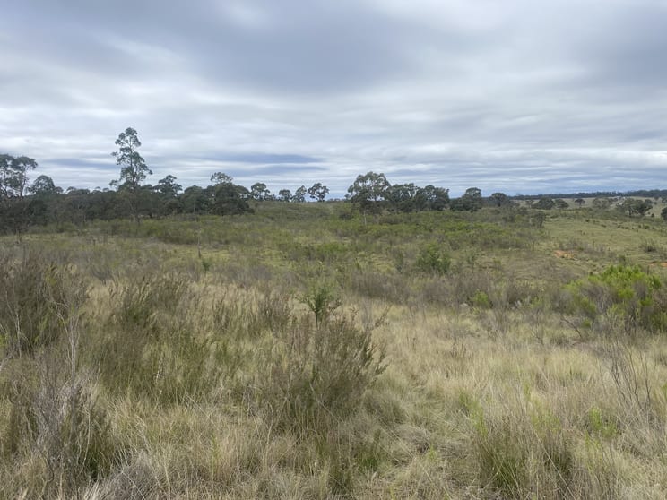 Click to view all images 3788 Oallen Ford Road Windellama NSW 2580 - Image 3
