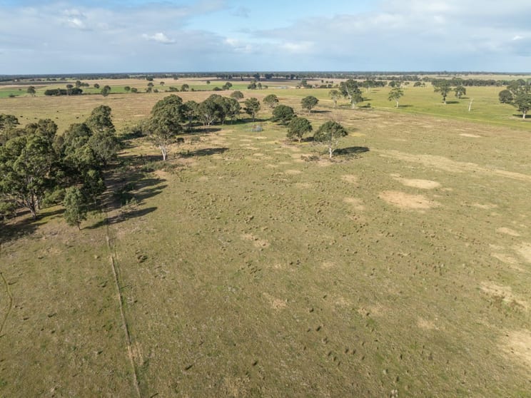 Click to view all images 2/488A Bengworden Road Bairnsdale VIC 3875 - Image 3