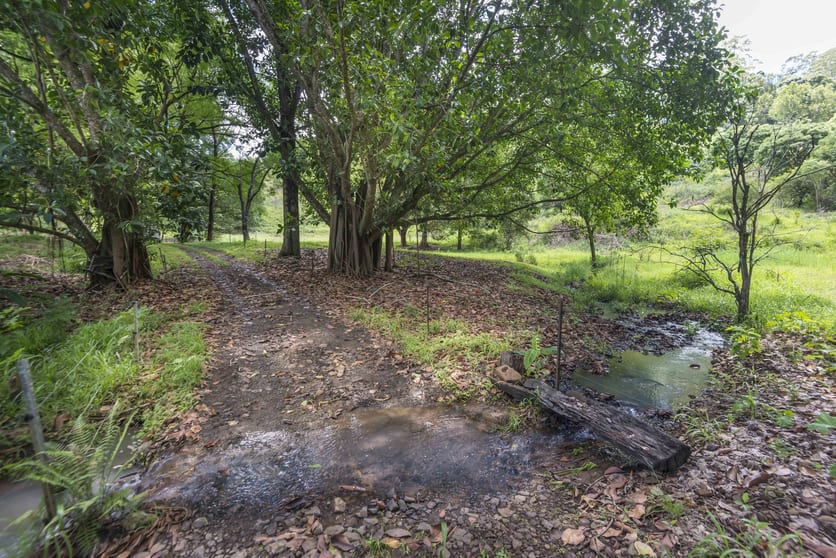 Click to view all images 353 Gungas Road Nimbin NSW 2480 - Image 3