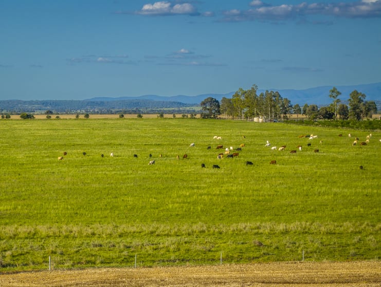 Click to view all images 60 Mount Leinster Road Irvingdale QLD 4404 - Image 1