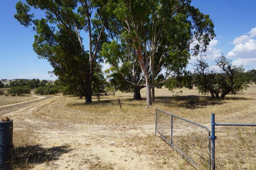 Click to view all images Lot 1 Mogumber Road West Red Gully WA 6503 - Image 2