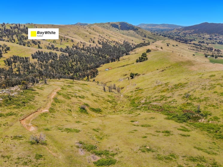 Click to view all images 11/617793 Stewarts Road Batlow NSW 2730 - Image 1