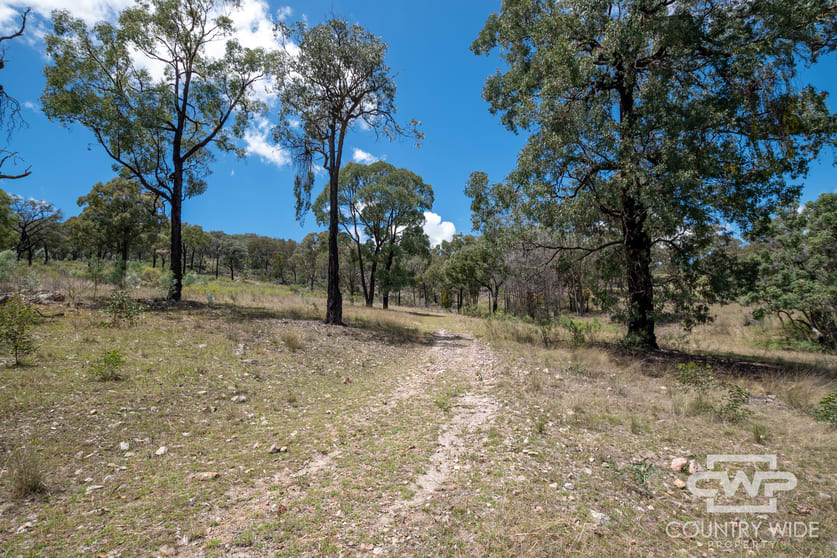 Click to view all images 162, 2202 Wellington Vale Road Emmaville NSW 2371 - Image 3