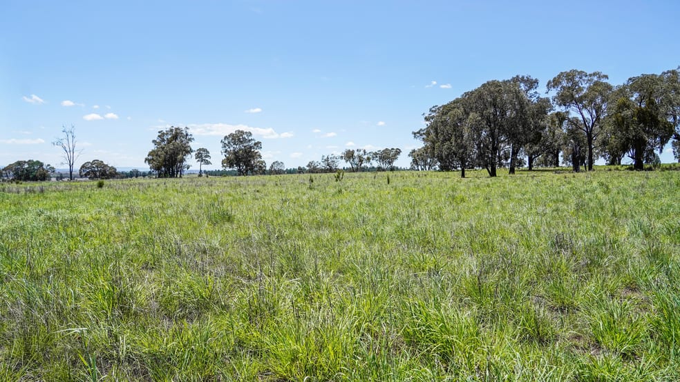 Click to view all images 89 Bourke And Halls South Road Binnaway NSW 2395 - Image 1
