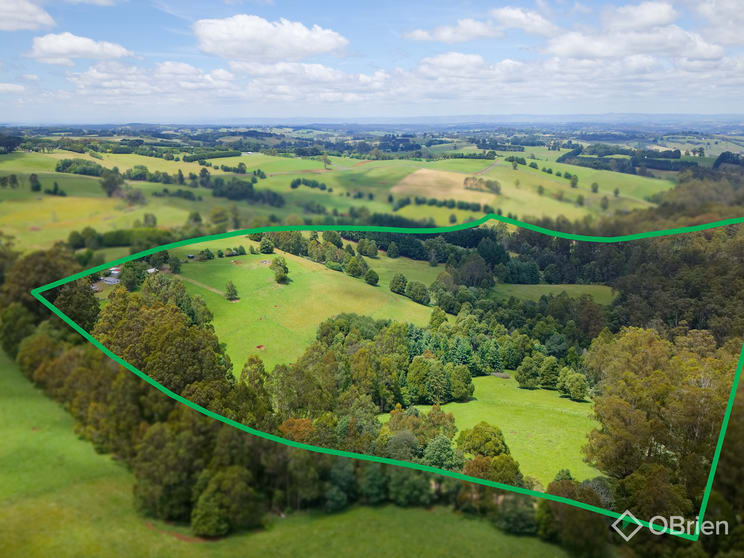 Click to view all images 85 Paynter Road Neerim Junction VIC 3832 - Image 1