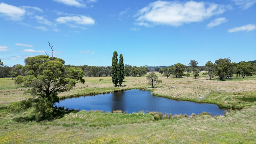 Click to view all images 374 Ivers Forest Road Chatham Valley NSW 2787 - Image 3