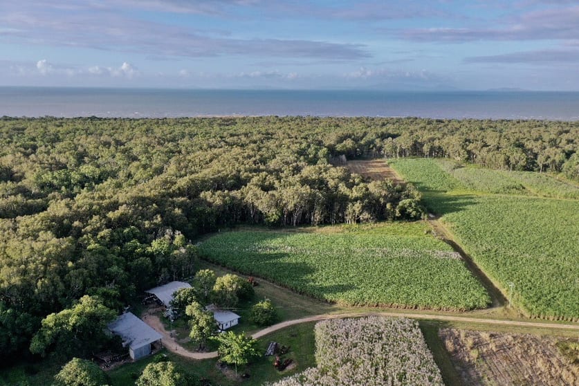 Click to view all images 349 Amos Road Coolbie QLD 4850 - Image 3