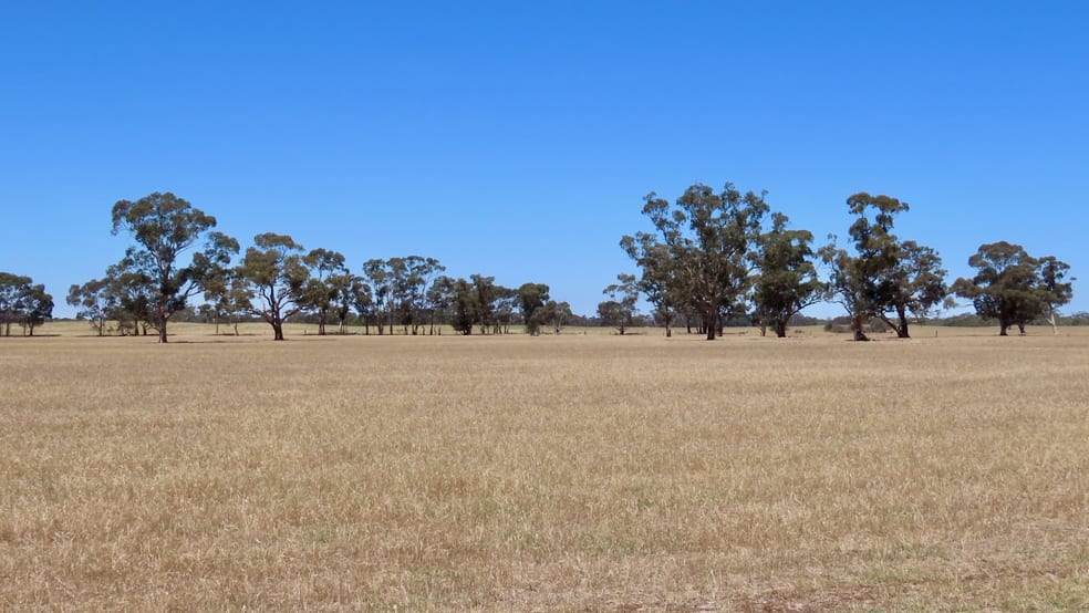 Click to view all images 505 Bangham Rd Custon SA 5269 - Image 1