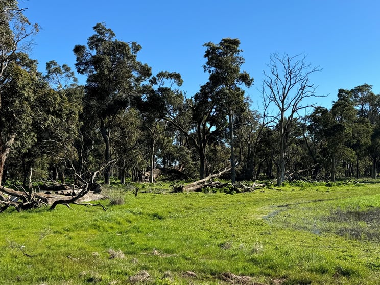 Lot 2339 Cnr Edwards & Doyle Road (Ambergate) Busselton WA 6280 - Image 1