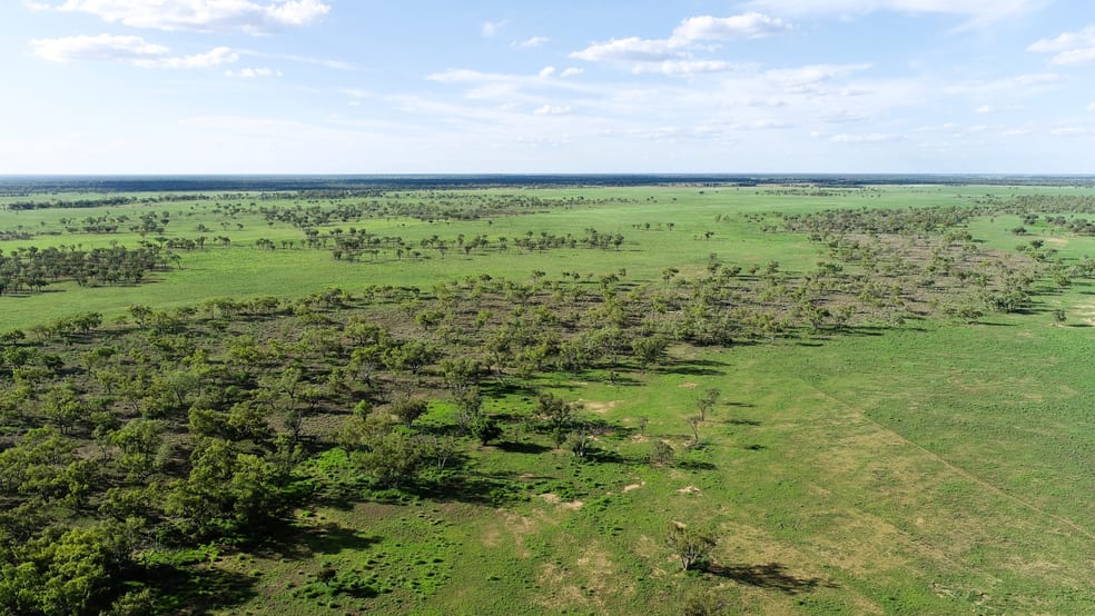 Click to view all images 'North Harriman' Balonne Highway Cunnamulla QLD 4490 - Image 3