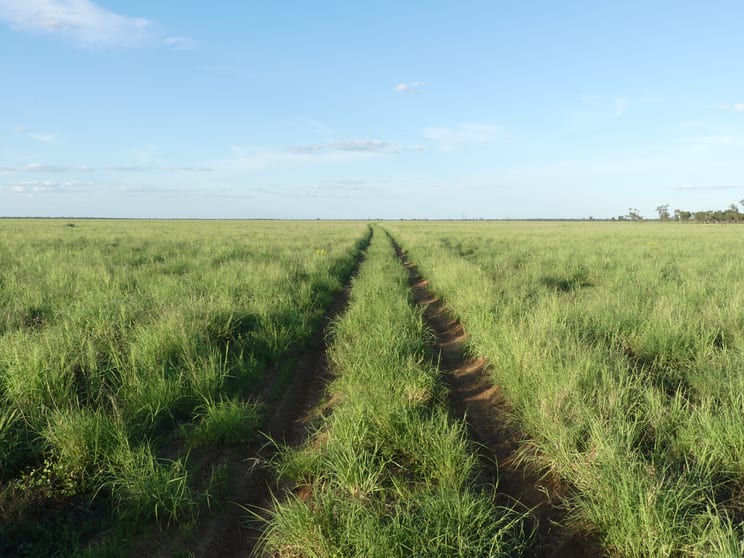 Click to view all images 'North Harriman' Balonne Highway Cunnamulla QLD 4490 - Image 1