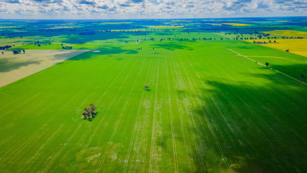 Click to view all images 80 Lucas Lane Coolamon NSW 2701 - Image 3