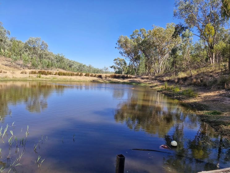 Click to view all images Lot 85 Springfield Road Mole River NSW 2372 - Image 1