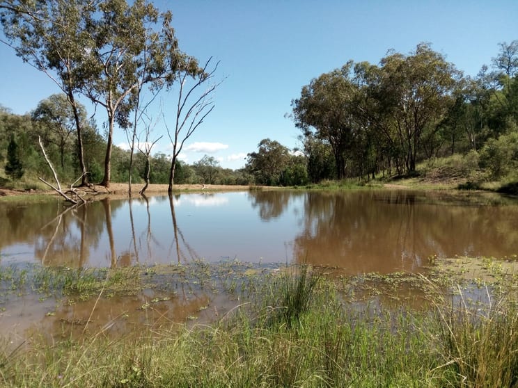 Click to view all images Lot 85 Springfield Road Mole River NSW 2372 - Image 3