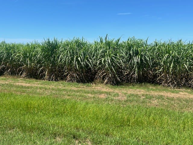 Click to view all images 314 Barrow Hill Road Habana QLD 4740 - Image 3