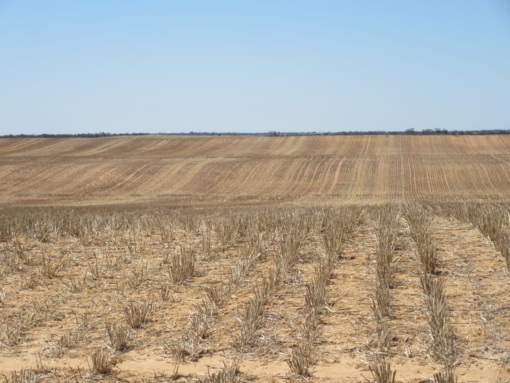 Click to view all images Hayden Lane Piangil VIC 3597 - Image 1