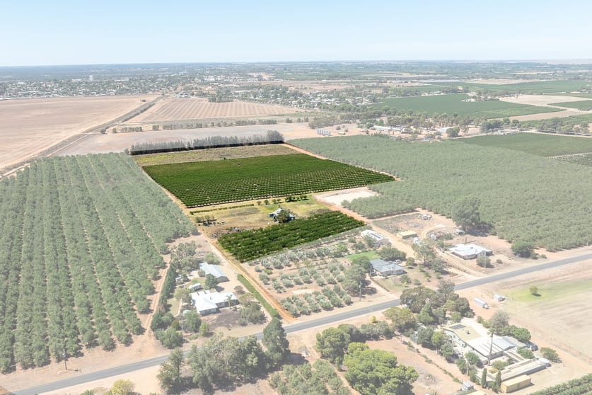 Click to view all images Lot 54 Newton Road Loxton SA 5333 - Image 1