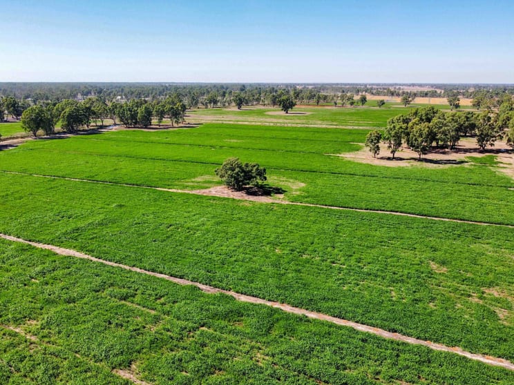 Click to view all images 127 Orrs Road Gannawarra VIC 3568 - Image 1