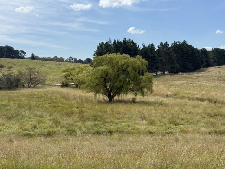 Click to view all images 3120 Oallen Ford Road Windellama NSW 2580 - Image 3