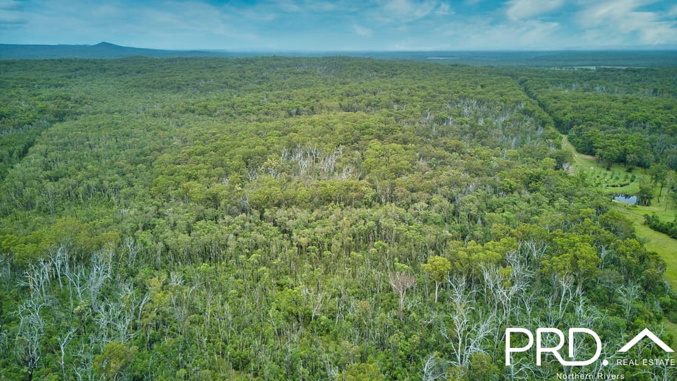Click to view all images 605 Myall Creek Road Bora Ridge NSW 2471 - Image 3