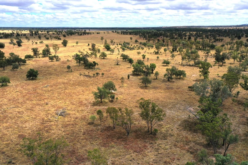 Click to view all images 445 Six Mile Rd Roma QLD 4455 - Image 2
