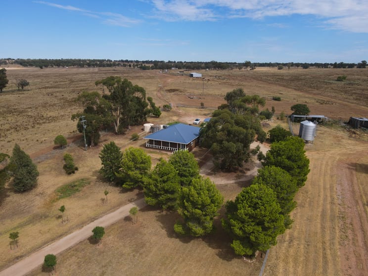 Click to view all images 1127 Newell Highway Forbes NSW 2871 - Image 3