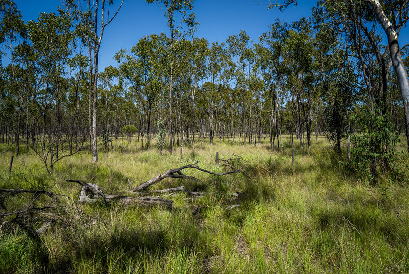 Click to view all images Tara QLD 4421 - Image 3