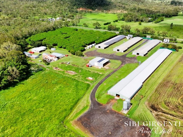 Click to view all images 1004 Bilwon Road Biboohra QLD 4880 - Image 1
