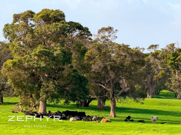 Mount Richard Road Nanarup WA 6330 - Image 3