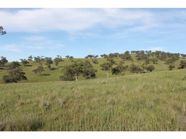 Click to view all images Golden Highway Cassilis NSW 2329 - Image 2