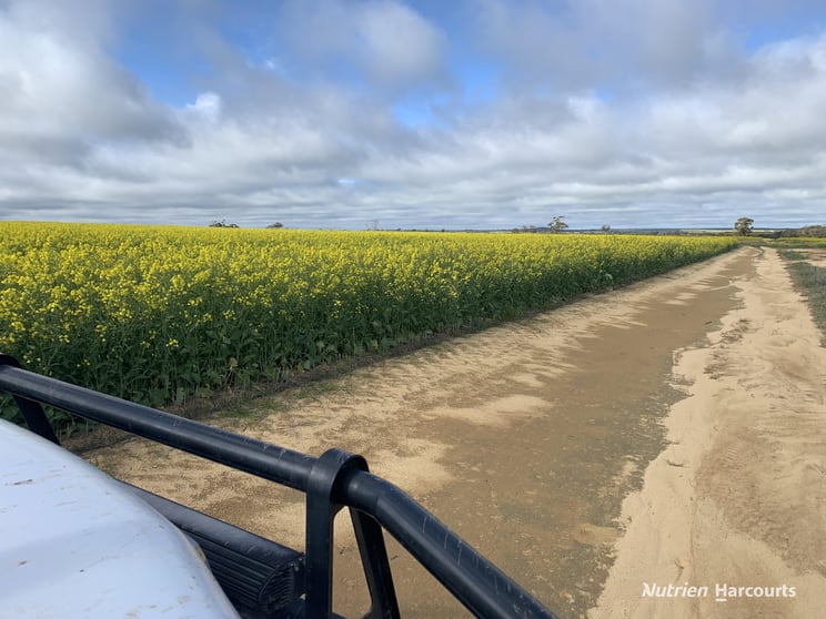 16111 Goldfields Road Merredin WA 6415 - Image 1