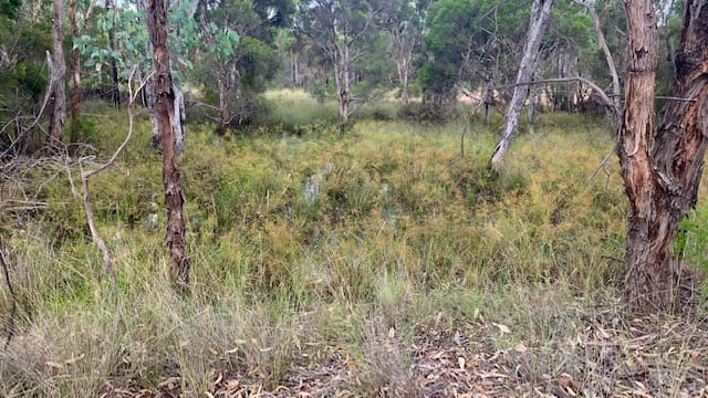 Click to view all images L184 Golden Glow Road Tara QLD 4421 - Image 3