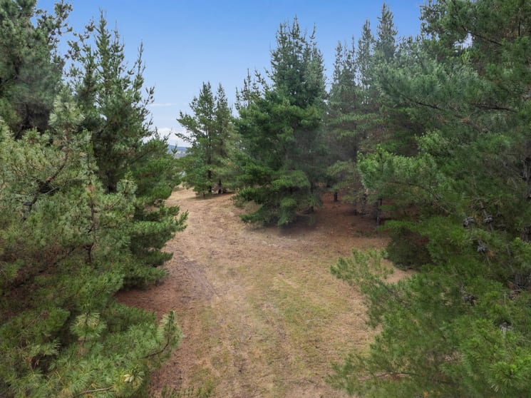 Click to view all images 'Deodara' 158 Millynn Road Bywong NSW 2621 - Image 3