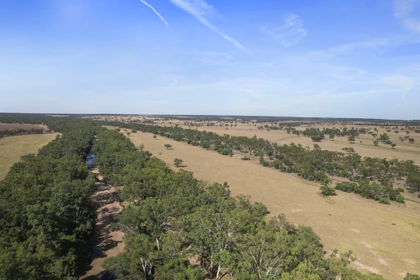 Click to view all images 3760 Mitchell-St George Road Mitchell QLD 4465 - Image 2