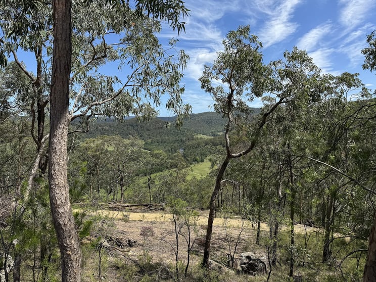 Click to view all images 2033 Paynes Crossing Rd Paynes Crossing NSW 2325 - Image 2