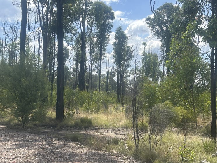 Click to view all images 243 Winfield Road Tara QLD 4421 - Image 2