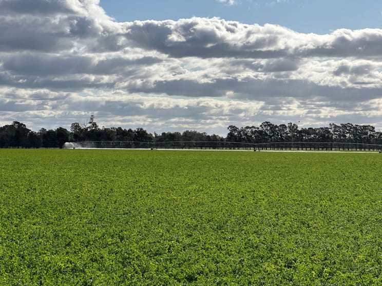 Click to view all images 929 Old Narrandera Road Wagga Wagga NSW 2650 - Image 3