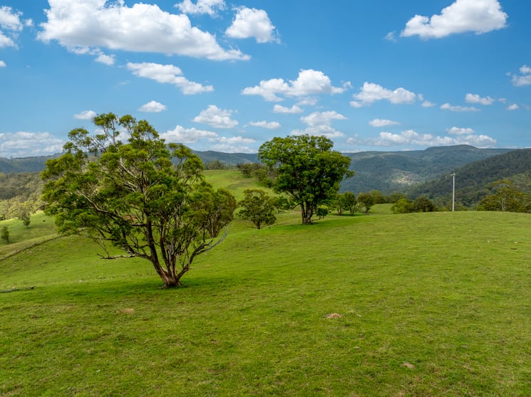 Click to view all images 900 Marsden Swamp Road Ganbenang NSW 2790 - Image 2
