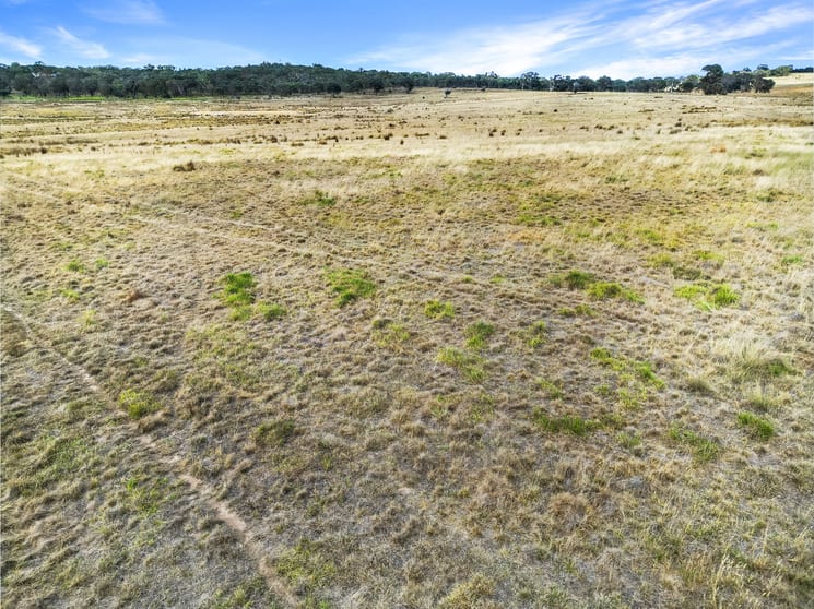 Click to view all images Lots 92, 255 Felled Timber Road (Dalton) Gunning NSW 2581 - Image 3