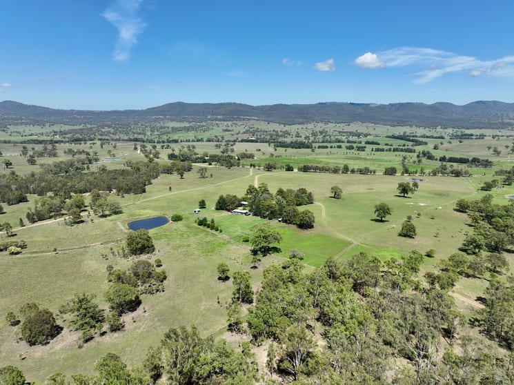 Click to view all images "Nullegai" 190 Thompson Creek Road Scone NSW 2337 - Image 1