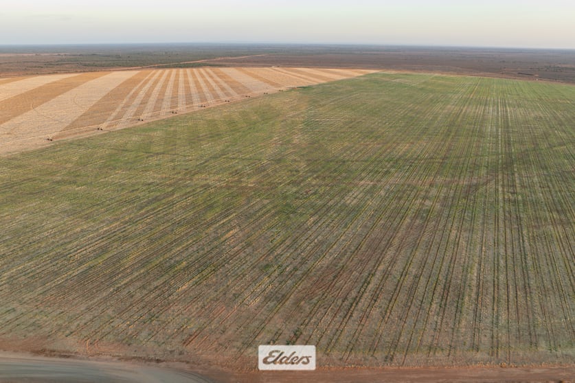Click to view all images 340 West Wilcannia Road Menindee NSW 2879 - Image 3