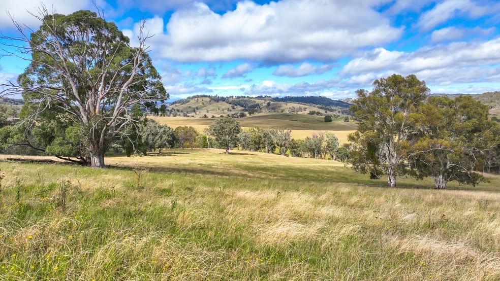 Click to view all images 830 Weabonga Road Weabonga NSW 2340 - Image 2