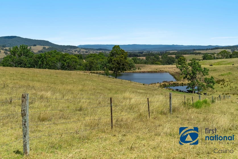 Click to view all images 10366 Mount Lindesay Road Legume NSW 2476 - Image 3