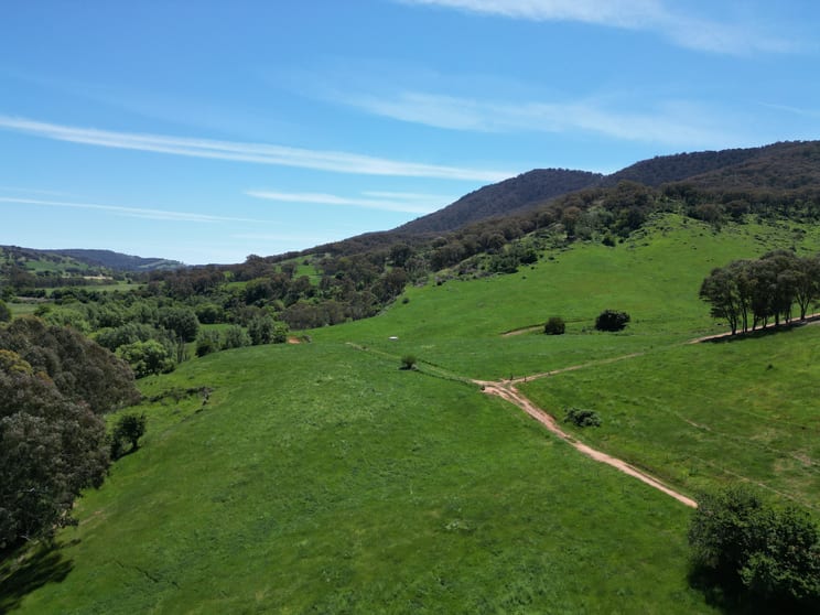 Click to view all images 1529 Georges Creek Road Georges Creek VIC 3700 - Image 2